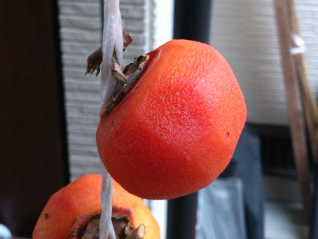 いっきにお寺も秋の色