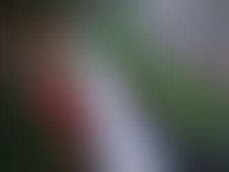 写真で振り返る台風の一日(ひさしぶりに目に入りました)