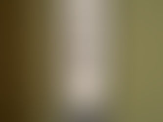 「普照無際土」(どんなときもひとりじゃない)