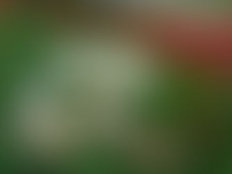 「おじいちゃんはお花になった」