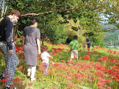 英会話レッスンがありました