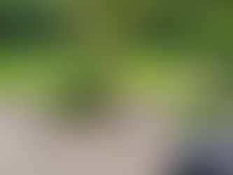 夏法座(7/6)へ向けて総代さんが境内整備をしてくださいました
