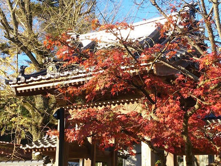 容赦なく移ろいゆく!ほんの数日の差でこの違い。