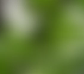 激しい天気、おうちで仕事。