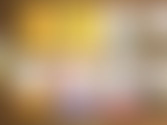 新しい本を購入しました(ご覧ください)