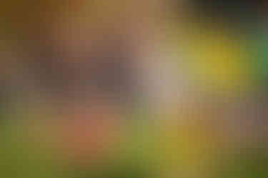 Coup d'envoi fictif - Yann Galut Maire de Bourges accompagne de G.Gazeau président du Bourges XV 