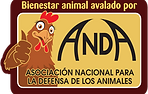 logo ANDA COLOR 2.png