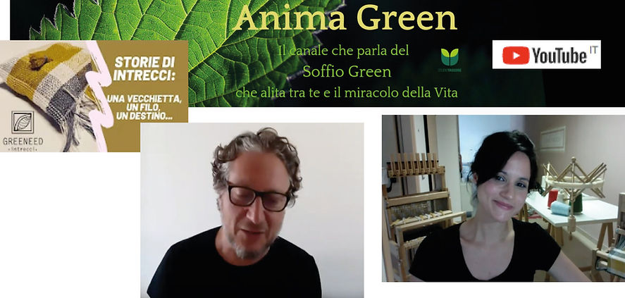 anima green.jpg