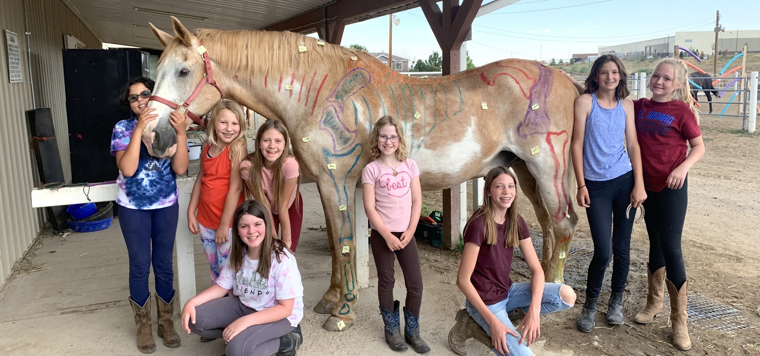 RIDING CAMP Mile High Equestrian & Rescue