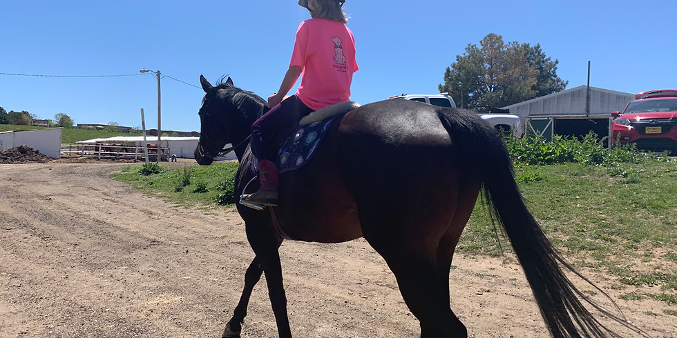 SUMMER HORSE CAMP!