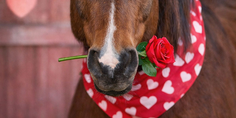 MHR_Roses for Rescues.jpg