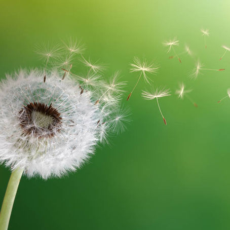 ALLERGIE: VARIE TIPOLOGIE