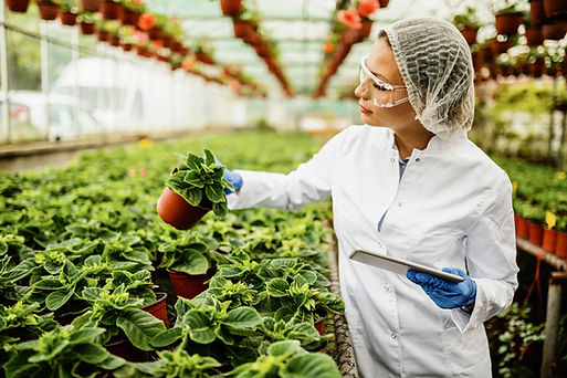 Equipo de proteccion, <a href="https://www.freepik.com/free-photo/plant-nursery-biotechnol