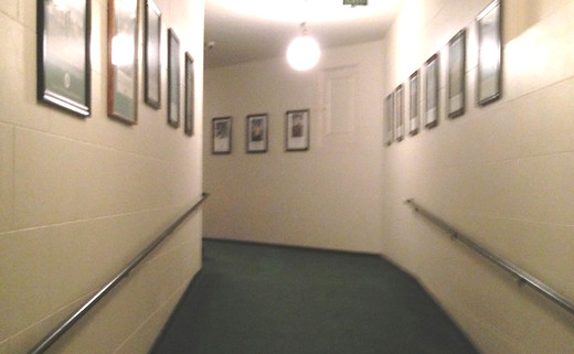 WAlk of Champions-1.jpg