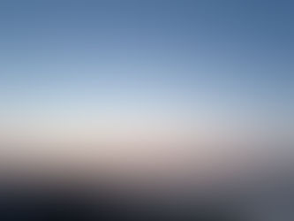 【自然情報】3/29（日）