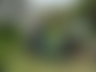 【報告】ミズゴケを救え！？ミヤボラ新部活「苔女」始動！
