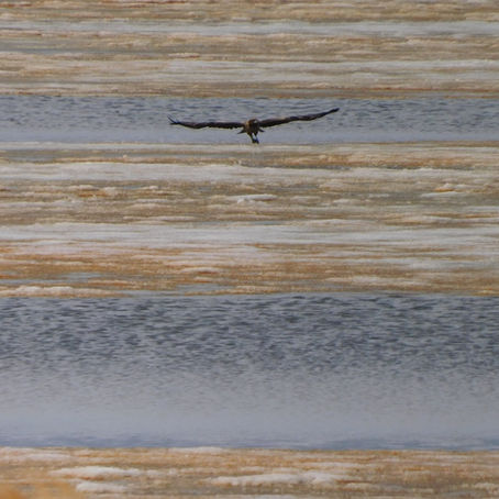 【自然情報】3/20（金）