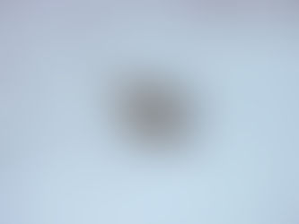 【自然情報】12/18（木）