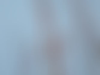 【自然情報】2/14(土)