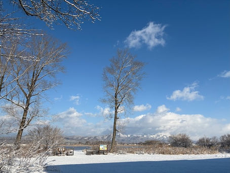 【自然情報】12/03（水）