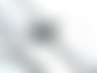 【自然情報】7/19(土)