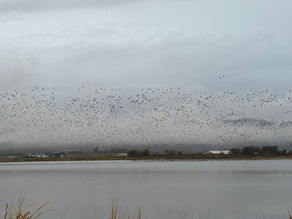 【自然情報】10/18(土)