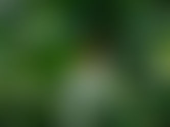 【自然情報】7/5(土)