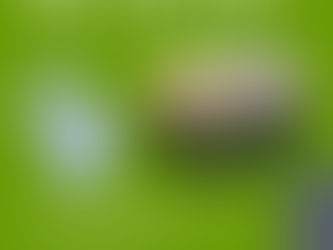 【おしらせ】7/26(土)美唄湿原ガイドツアー