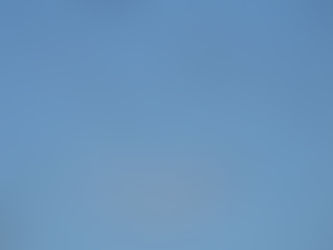 【自然情報】10/7(水)