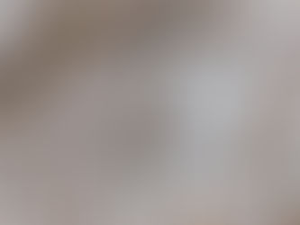 【自然情報】3/13（金）