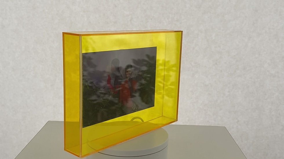 Thumbnail: LIBRE - Lenticular photography in motion