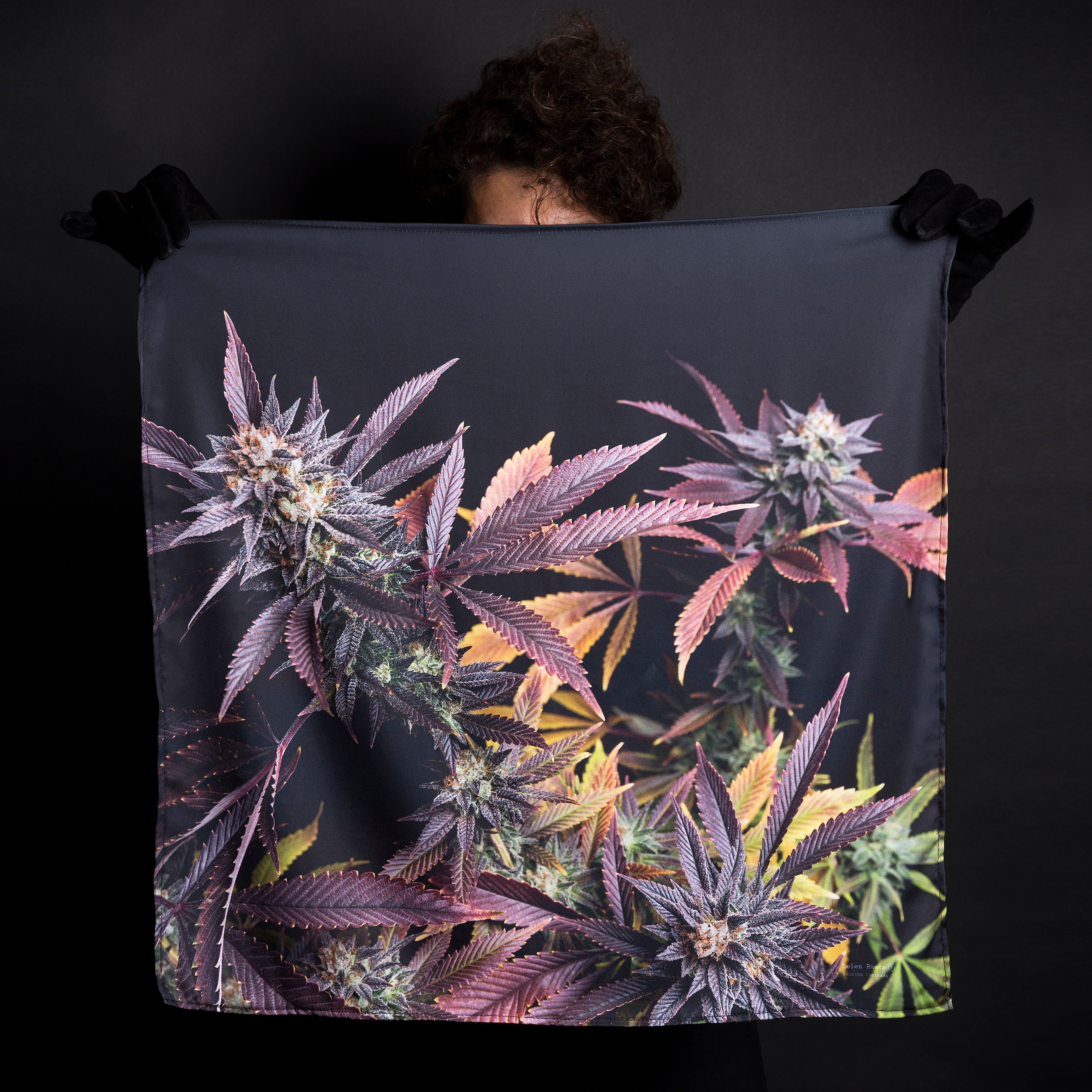 Orange Cookies Black