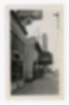 umn191421smaller.jpg