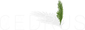 Pergole Cedrus.png