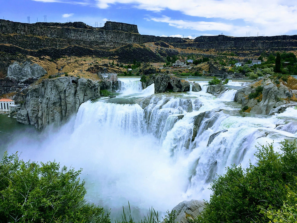 Idaho Falls Idaho Mold Searches