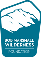 BMWF Logo.png