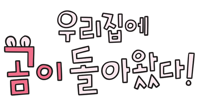 BI_KR.png