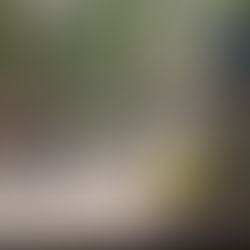 Lucan GP 2026 (14th March 2026)