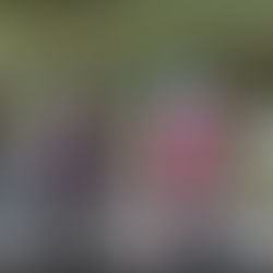 Alan Towel Memorial Road Race 2026 (Banbridge Cycling Club)