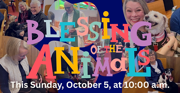SJK Fb blessing of the animals.png