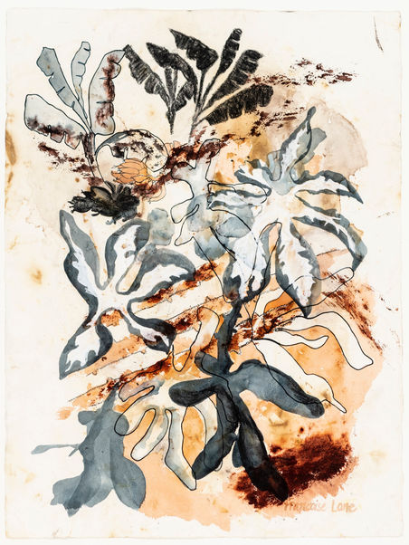 Manioc and banana garden.jpg