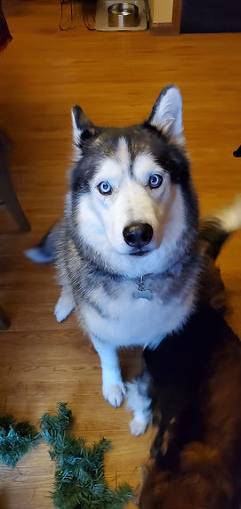 240582982_10224714100698029_7737846383173557661_n.jpeg