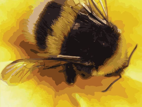 Bright Yellow Buzz