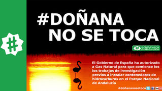 La UE investigará la extracción de gas en Doñana tras la denuncia de Primavera Andaluza