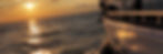S4S_WebsitebannerDiverSea4WEB.jpg