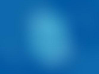 Essential Eight Maturity Model