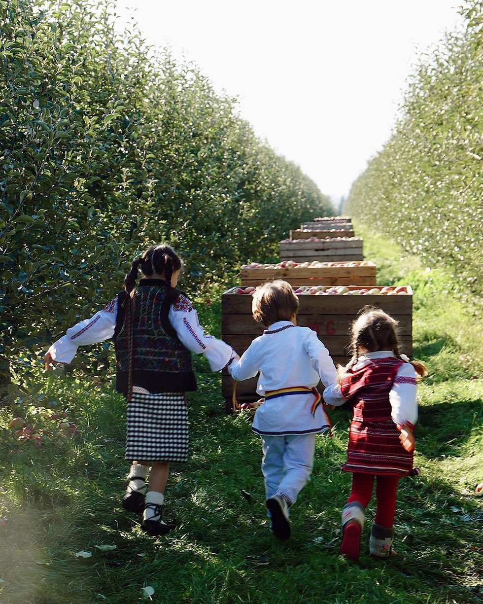 Înființare livadă de măr și păr și achiziție de utilaje agricole