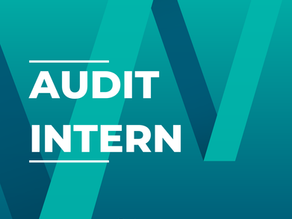 Audit intern: cum verifici sănătatea financiară a firmei tale