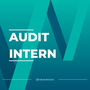 Audit intern: cum verifici sănătatea financiară a firmei tale