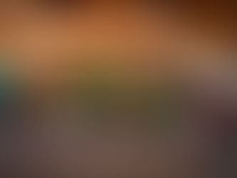 Part 3 - Annual Picnic